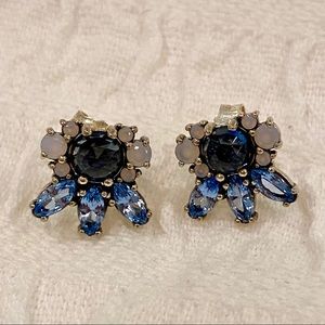 Pandora Earrings